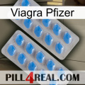 Pfizer Viagra 23